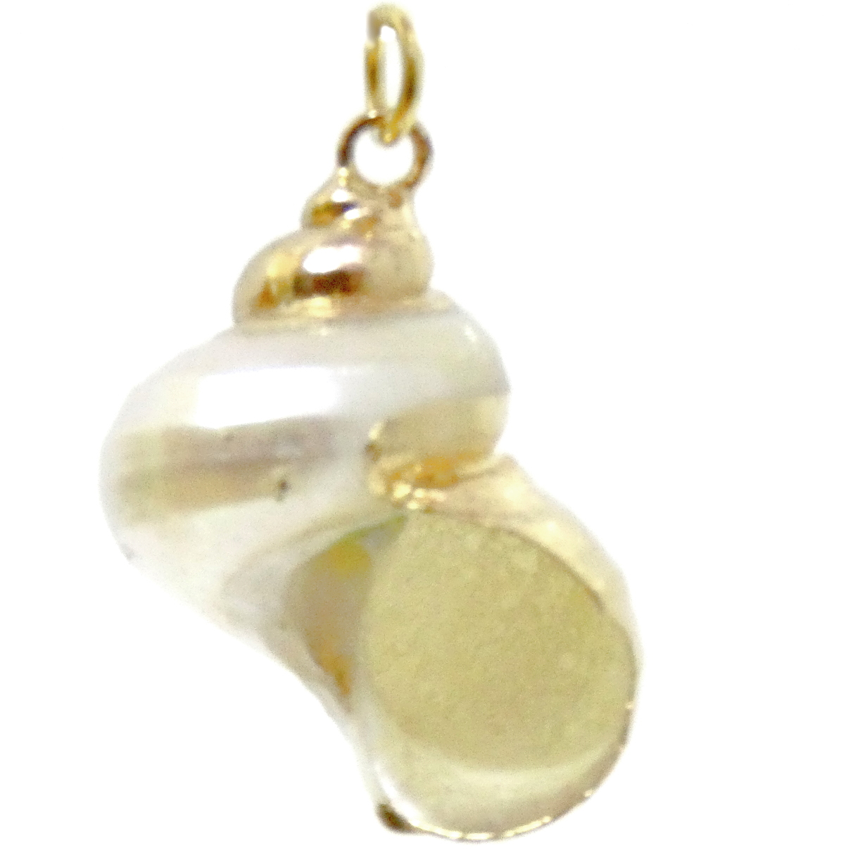 White Spiral Shell with Gold